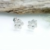 Prunus small earrings. sterling silver.  Prunus 35,00 €